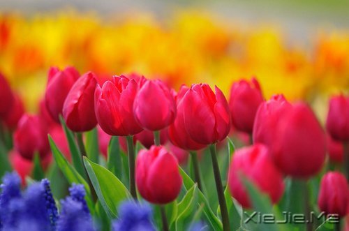 ��Ҫ��Ц���˵Ị̇���ֻ����û�о��������� (6)