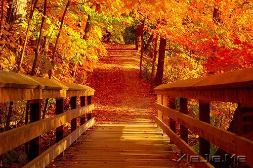 �簲�����ȥ�ľ͹�ȥ�ˣ�������Ȼ���� (12)