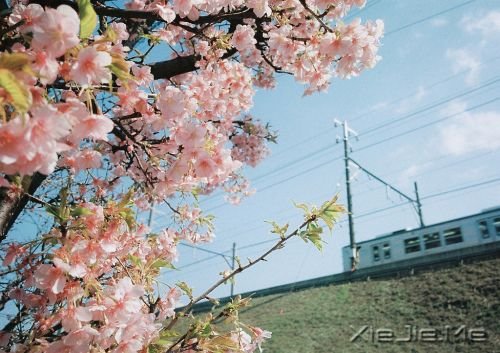 �������Ը���Ϊ�Լ���̫�� (6)