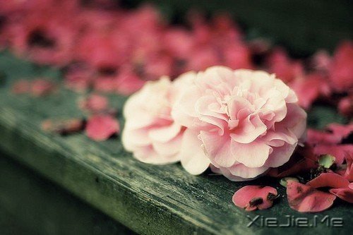�簲�����δ���������������ǰ�һ���׸����� (4)