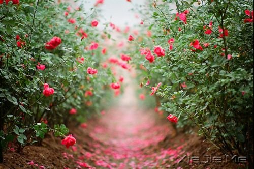 �簲������������ˣ����Ҹ���· (2)